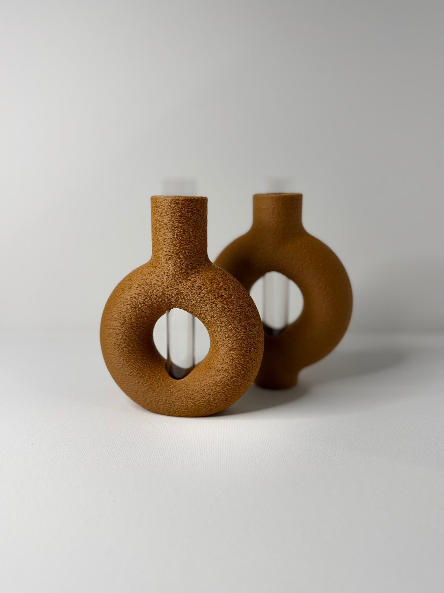 RINGIA - Plant Propagation