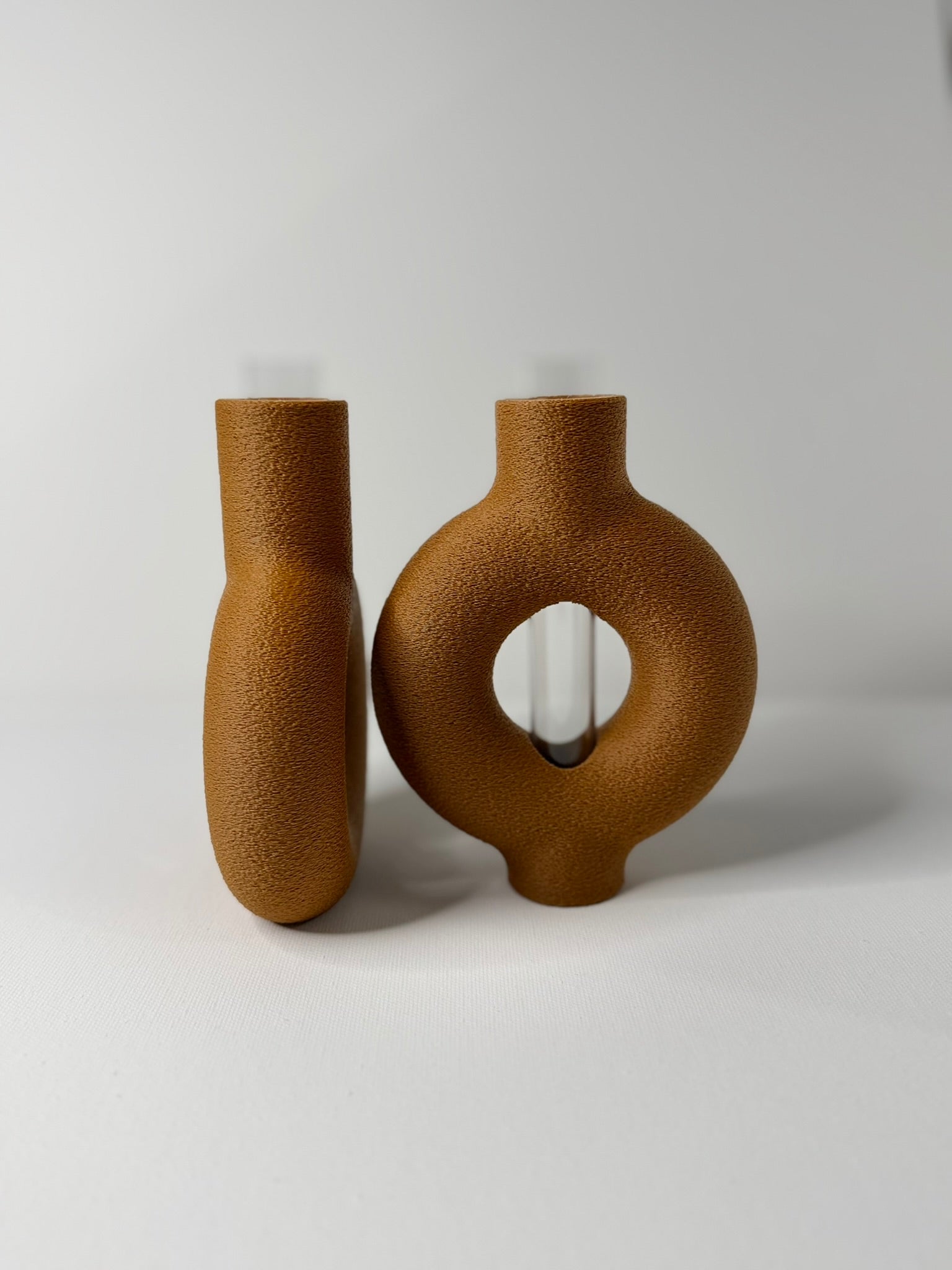 RINGIA - Plant Propagation