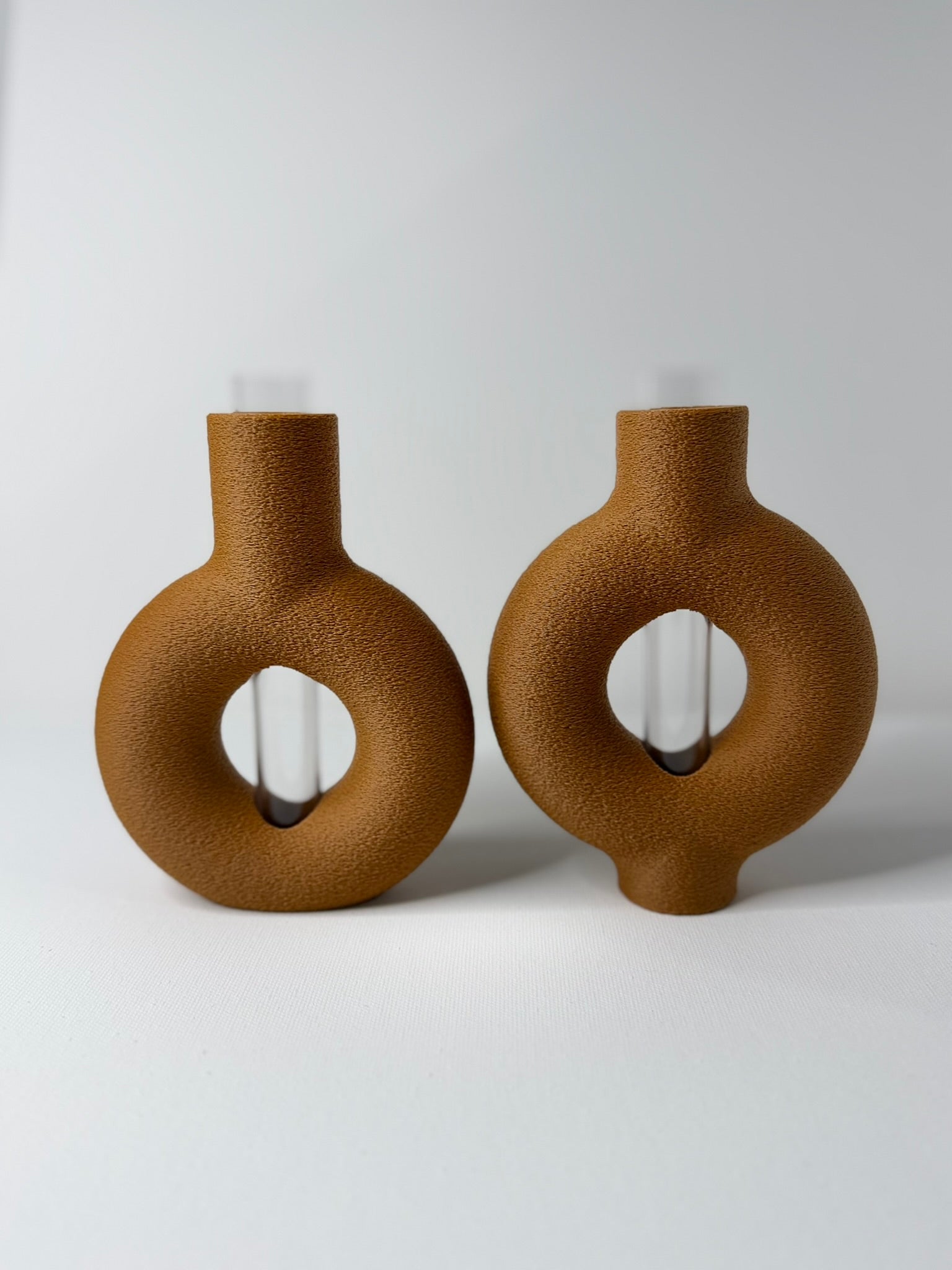 RINGIA - Plant Propagation