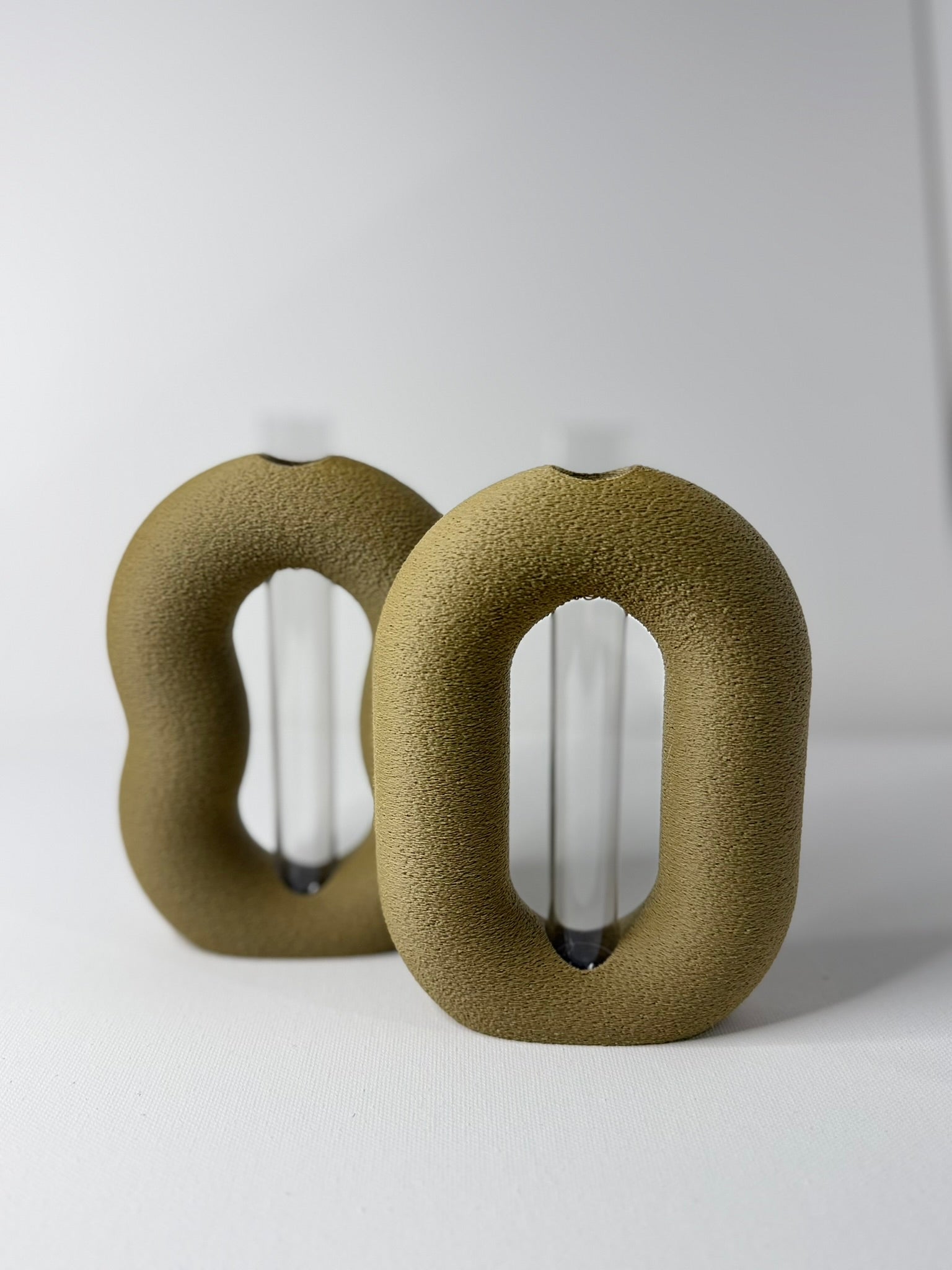 OVALINEO - Plant Propagation