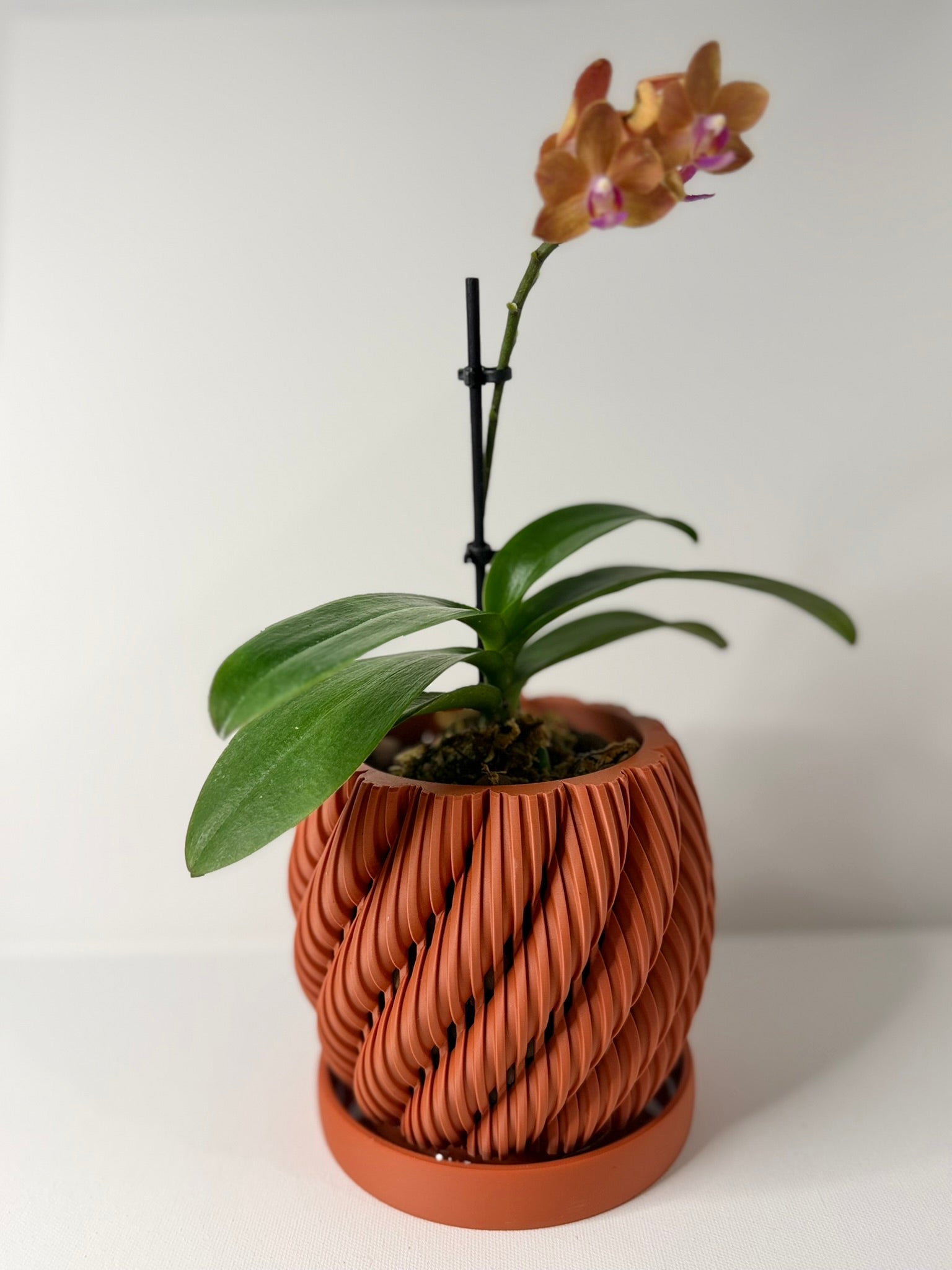 AERIS - Orchid Planter