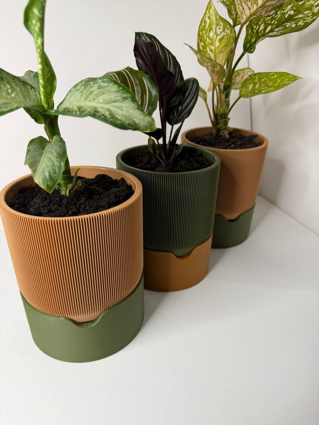 RILLIA - Self Planter