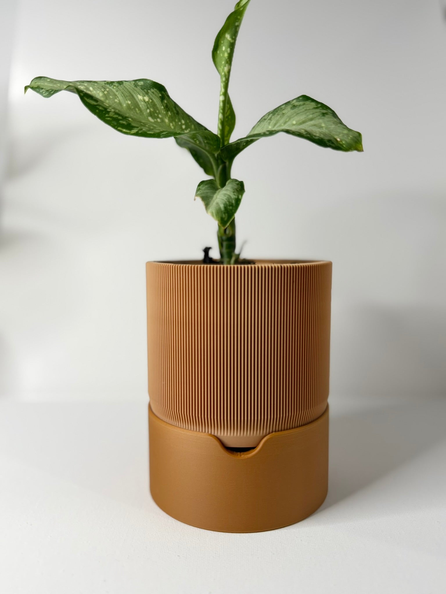 RILLIA - Self Planter