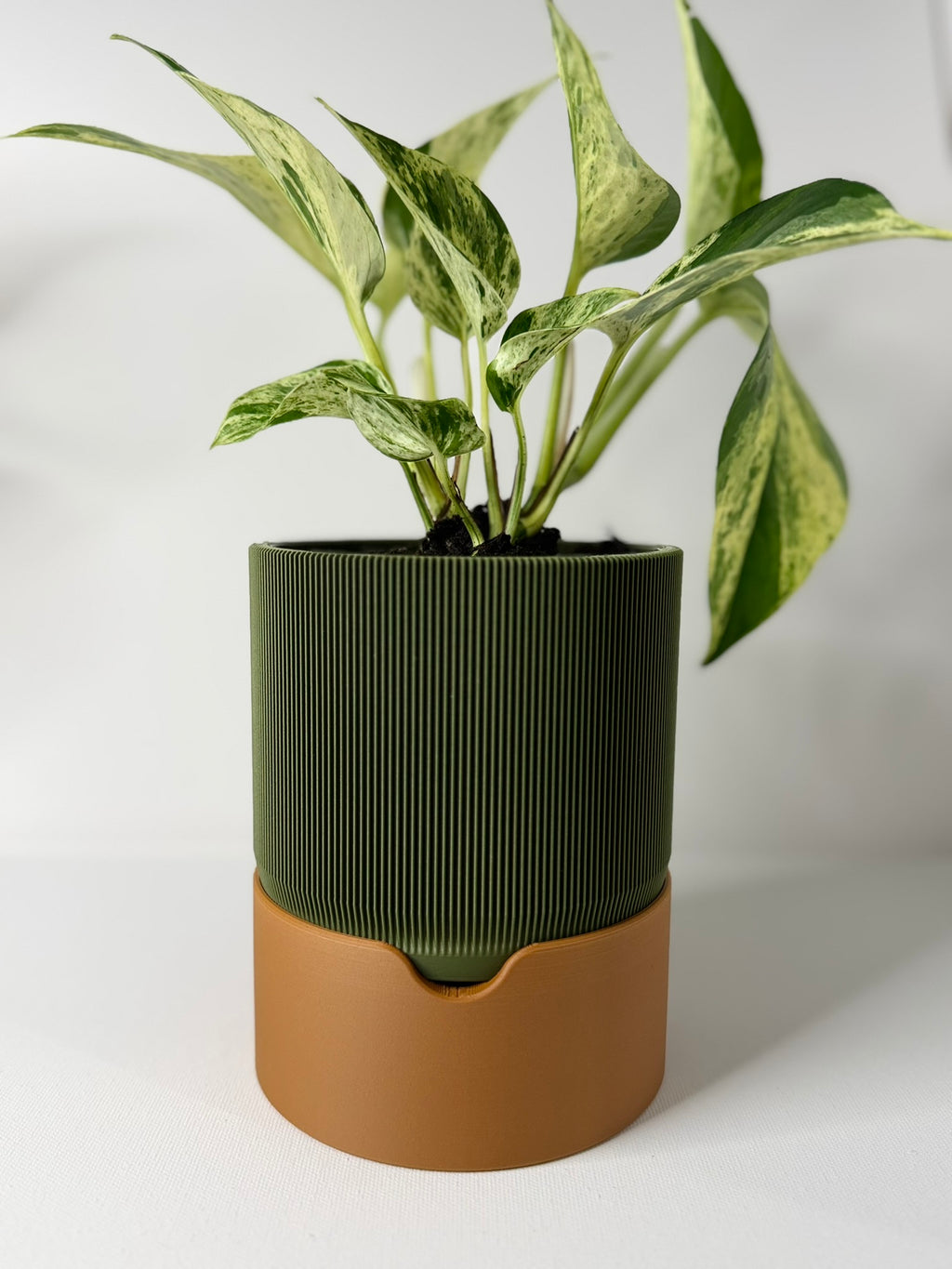 RILLIA - Self Planter