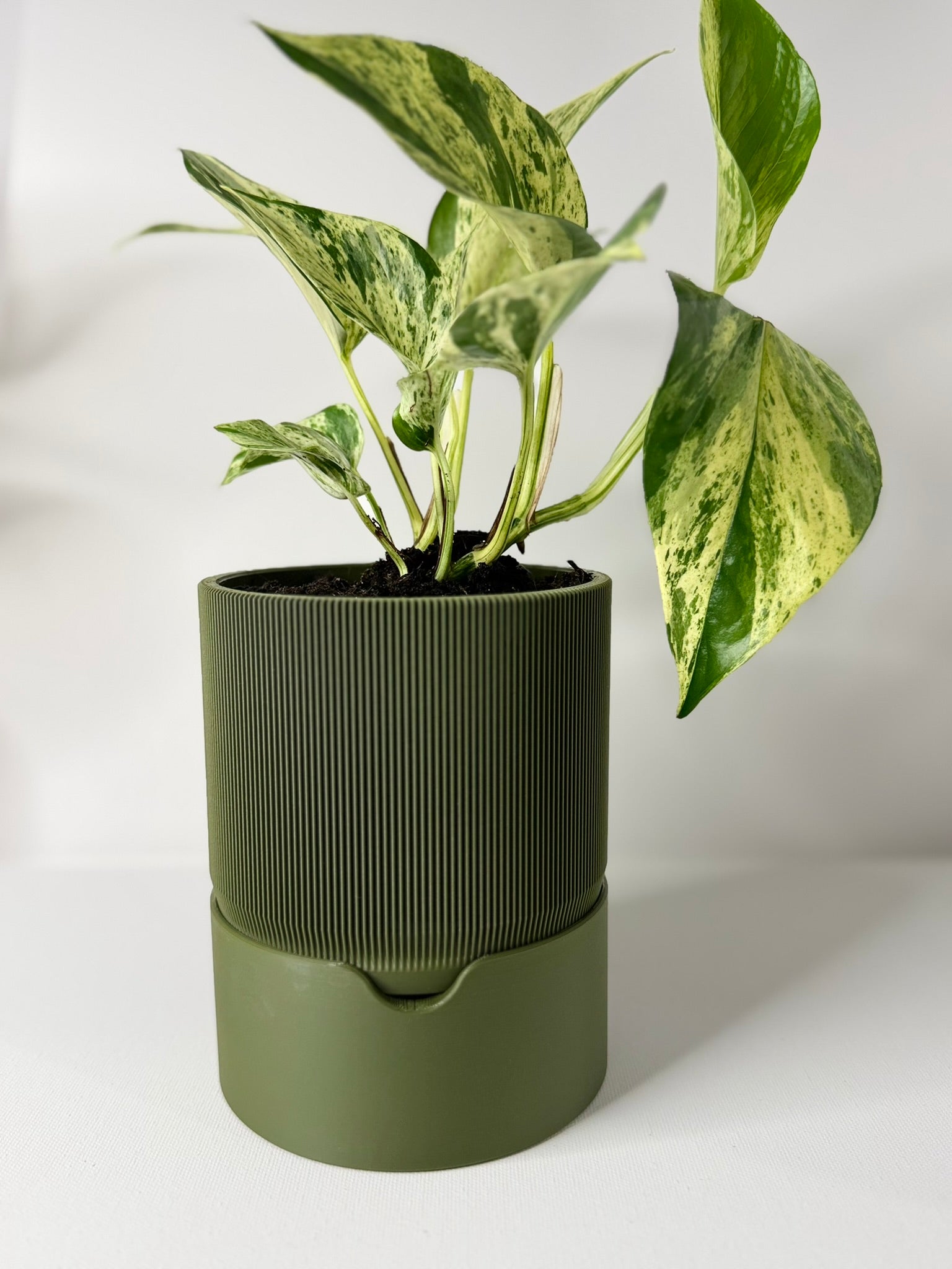 RILLIA - Self Planter